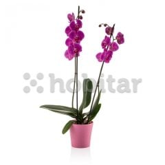 Poliwork Gardenya Orkide Saksı 1,2 Litre Pembe