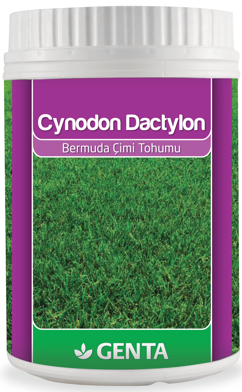 Genta Cynodon Dactylon Bermuda Çim Tohumu 500 Gr