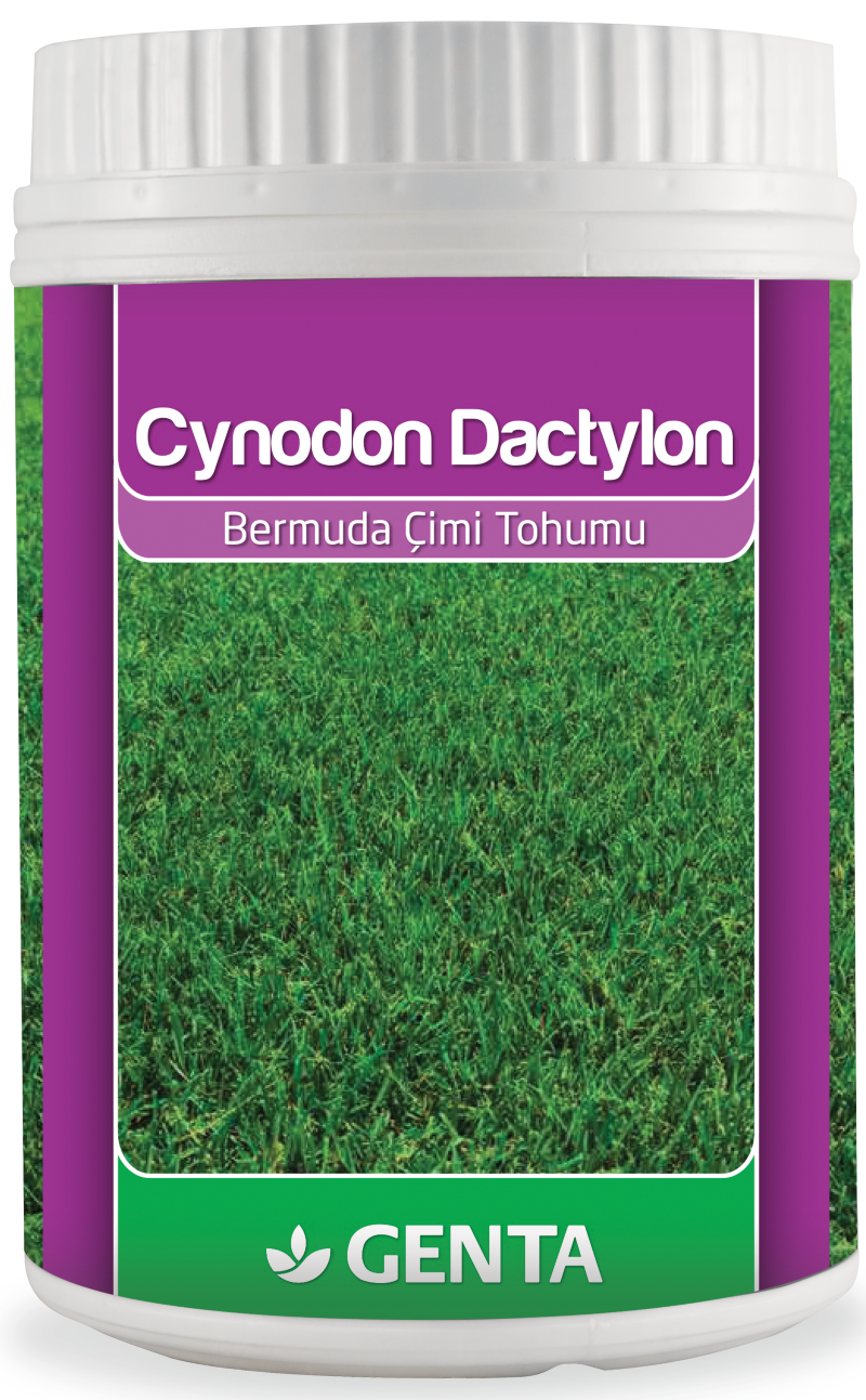 Genta Cynodon Dactylon Bermuda Çim Tohumu 500 Gr