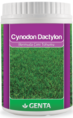 Genta Cynodon Dactylon Bermuda Çim Tohumu 500 Gr