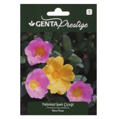 Çiçek Tohumu Yalınkat İpek Çiçeği Genta Prestige