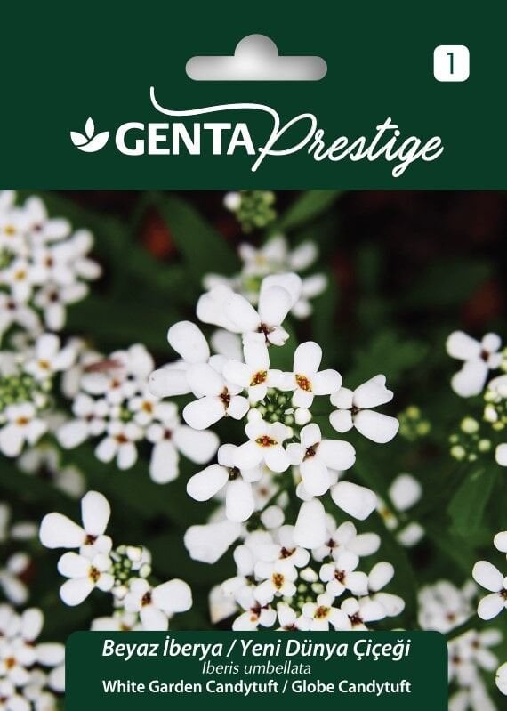 Çiçek Tohumu Beyaz İberya Yeni Dünya Çiçeği Genta Prestige