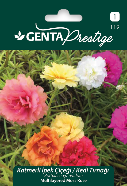 Çiçek Tohumu Katmerli ipek Çiçeği Kedi Tırnağı Genta Prestige